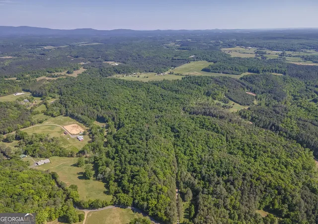 Homes for sale in Rydal, GA | 410 Pine Hill Rd Se, Rydal, GA 30171 | MLS# 10753194
