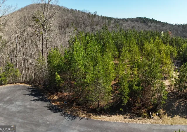 Land for sale at 0 Olde Rockhouse Ln, Demorest, GA 30535 | MLS# 10711979