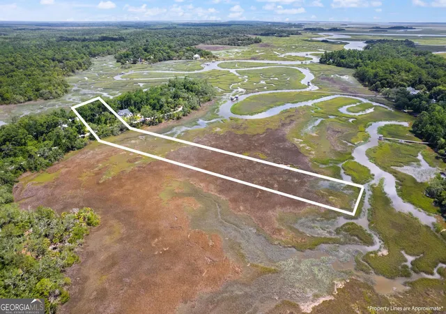 Photo 3 of Land for sale at Lot 42 St Joseph's Point, Darien, GA 31305 | MLS# 10804185 | Listing updated on 2026-09-23