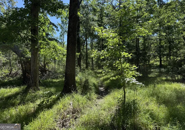 1st image of 4979 Augusta Hwy, Lincolnton, GA 30817 | MLS# 10809286