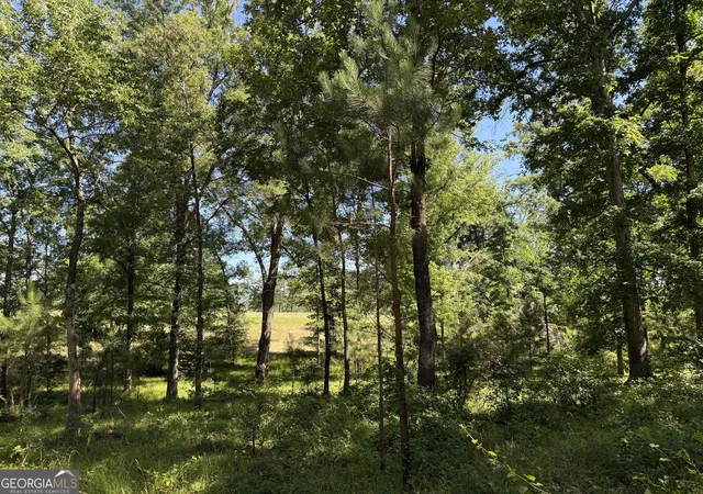 3rd image of 4979 Augusta Hwy, Lincolnton, GA 30817 | MLS# 10809286