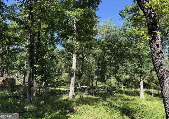 4th image of 4979 Augusta Hwy, Lincolnton, GA 30817 | MLS# 10809286