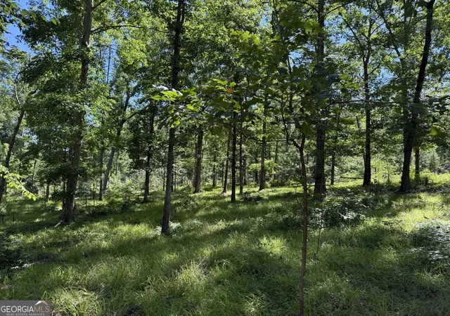 5th image of 4979 Augusta Hwy, Lincolnton, GA 30817 | MLS# 10809286
