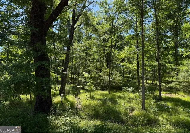 9th image of 4979 Augusta Hwy, Lincolnton, GA 30817 | MLS# 10809286