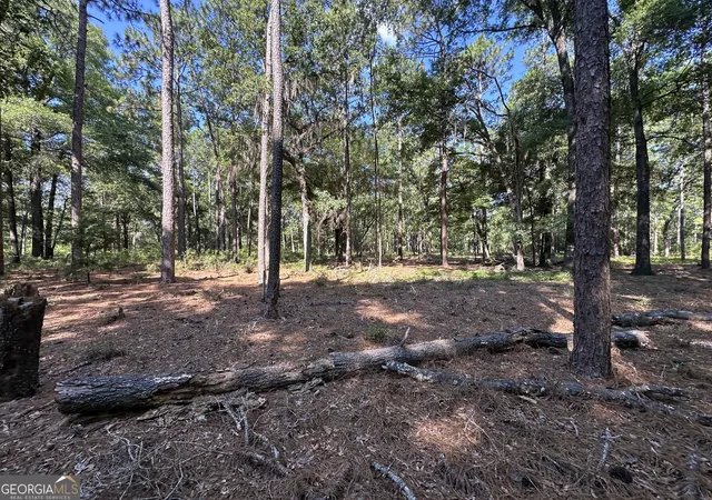 Homes for sale in Sylvania, GA | 3852 Poor Robin Rd, Sylvania, GA 30467 | MLS# 10802360