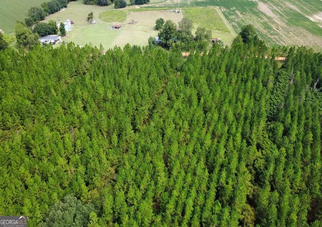 Photo 1 of Land for sale at Tract 2 A L Reeves Rd, Fitzgerald, GA 31750 | MLS# 10836395 | Listing updated on 2026-09-14
