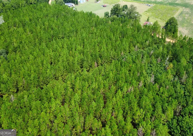 Photo 2 of Land for sale at Tract 2 A L Reeves Rd, Fitzgerald, GA 31750 | MLS# 10836395 | Listing updated on 2026-09-14