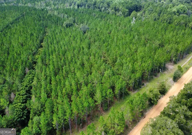 Photo 3 of Land for sale at Tract 2 A L Reeves Rd, Fitzgerald, GA 31750 | MLS# 10836395 | Listing updated on 2026-09-14