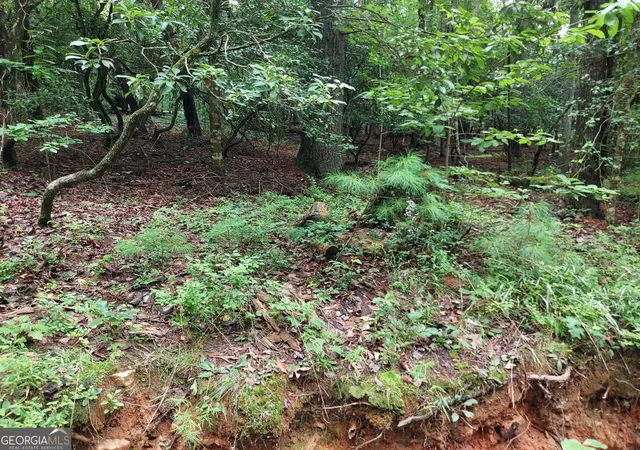 Photo 3 of Land for sale at 0 Lot 1a Wexford Way, Lakemont, GA 30552 | MLS# 10805876 | Listing updated on 2026-09-13