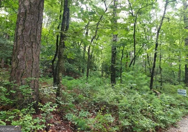 Photo 3 of Land for sale at 0 Lot 1a Wexford Way, Lakemont, GA 30552 | MLS# 10805876 | Listing updated on 2026-09-13