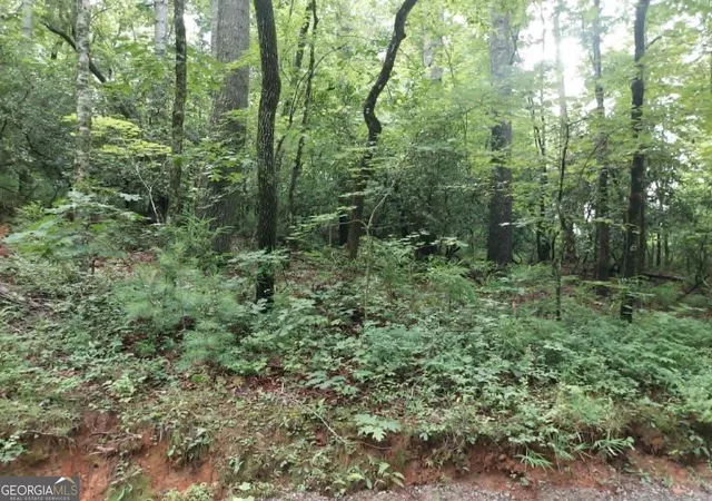 Photo 4 of Land for sale at 0 Lot 1a Wexford Way, Lakemont, GA 30552 | MLS# 10805876 | Listing updated on 2026-09-13