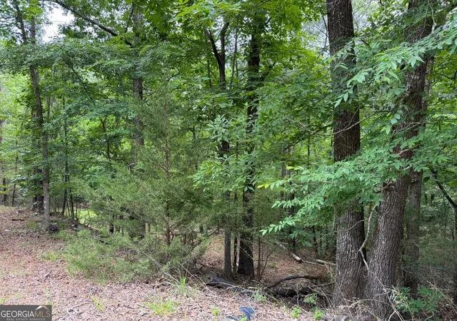 Homes for sale in Elberton, GA | Lot 52 Bramlett Cr, Elberton, GA 30635 | MLS# 10763835