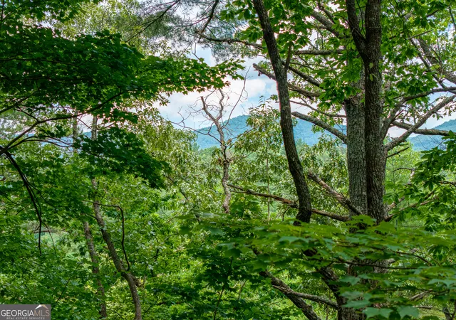 Photo 3 of Land for sale at Lot 630 Nahunta Ct, Ellijay, GA 30540 | MLS# 10788644 | Listing updated on 2026-07-02