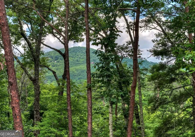 Photo 3 of Single family home for sale at 120 Green Ridge Rd, Blue Ridge, GA 30513 | MLS# 10801112 | Listing updated on 2026-08-17