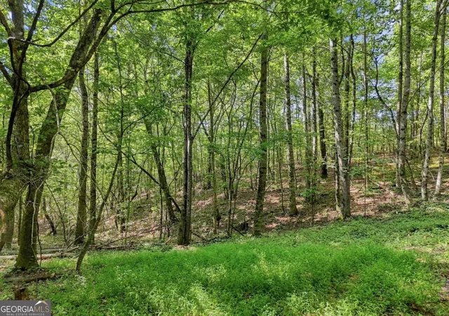 51st image of 590 Old Shyers Ford Rd, Talking Rock, GA 30175 | MLS# 10825526