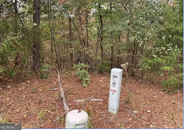 3rd image of 4103 Sierra Ct Sw, Stockbridge, GA 30281 | MLS# 10789623