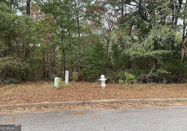 4th image of 4103 Sierra Ct Sw, Stockbridge, GA 30281 | MLS# 10789623