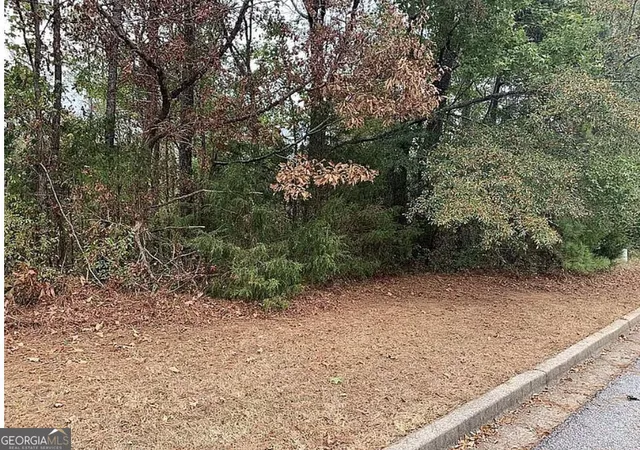5th image of 4103 Sierra Ct Sw, Stockbridge, GA 30281 | MLS# 10789623