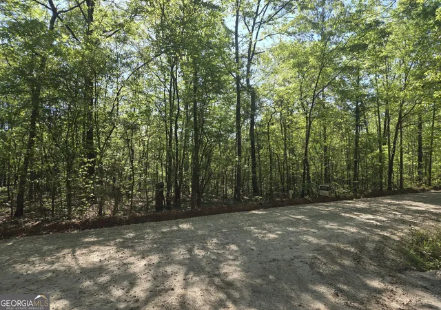 Photo 2 of Land for sale at 0 Fossett Rd, Concord, GA 30206 | MLS# 10738363 | Listing updated on 2026-07-31