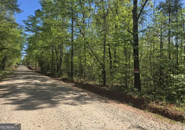 Homes for sale in Concord, GA | 0 Fossett Rd, Concord, GA 30206 | MLS# 10738363