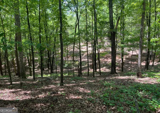 2nd image of Tract 3 Chalcrest Wy, Cave Spring, GA 30124 | MLS# 10817906
