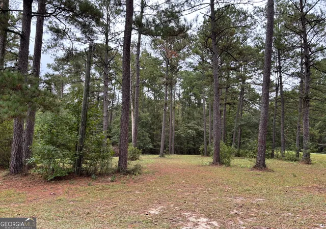 Homes for sale in Millen, GA | 0 Buttermilk Rd, Millen, GA 30442 | MLS# 10795163