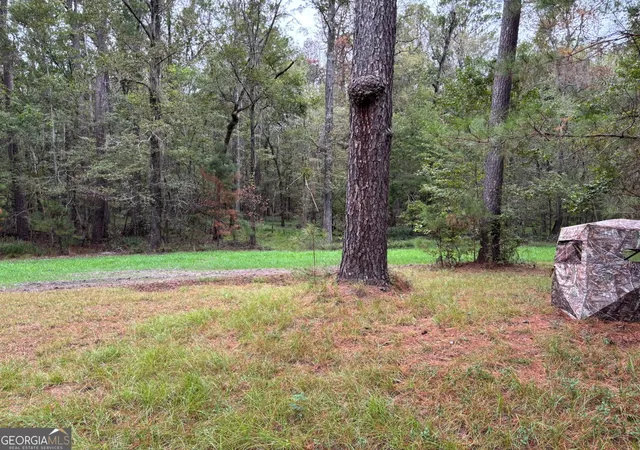 Homes for sale in Millen, GA | 0 Buttermilk Rd, Millen, GA 30442 | MLS# 10795163