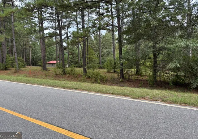 Homes for sale in Millen, GA | 0 Buttermilk Rd, Millen, GA 30442 | MLS# 10795163