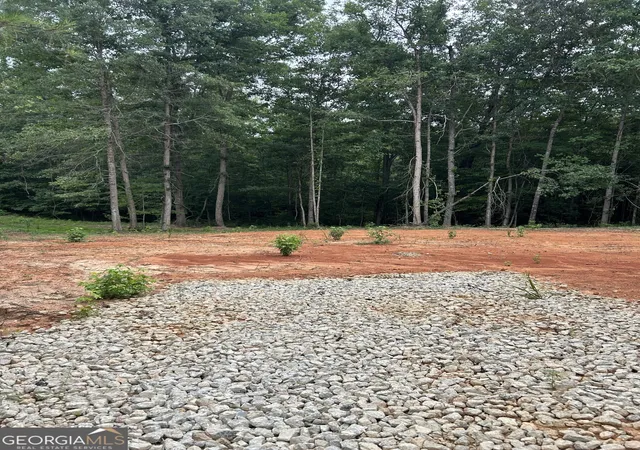 4th image of Cr 79 Clark St, Roanoke, AL 36274 | MLS# 10813789