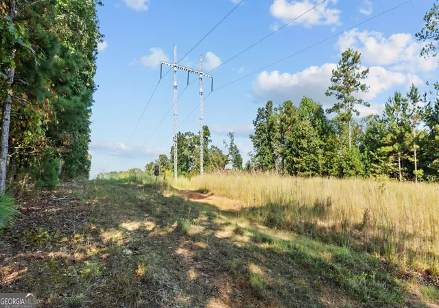 Photo 1 of Land for sale at 2987 Steele Rd, Griffin, GA 30223 | MLS# 10609943 | Listing updated on 2026-09-09