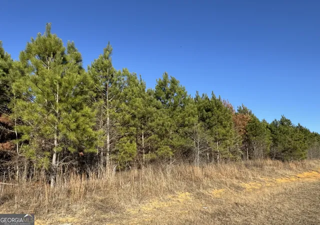 Photo 3 of Land for sale at Lot 7a Whitfield Rd, Elko, GA 31025 | MLS# 10675267 | Listing updated on 2026-02-24