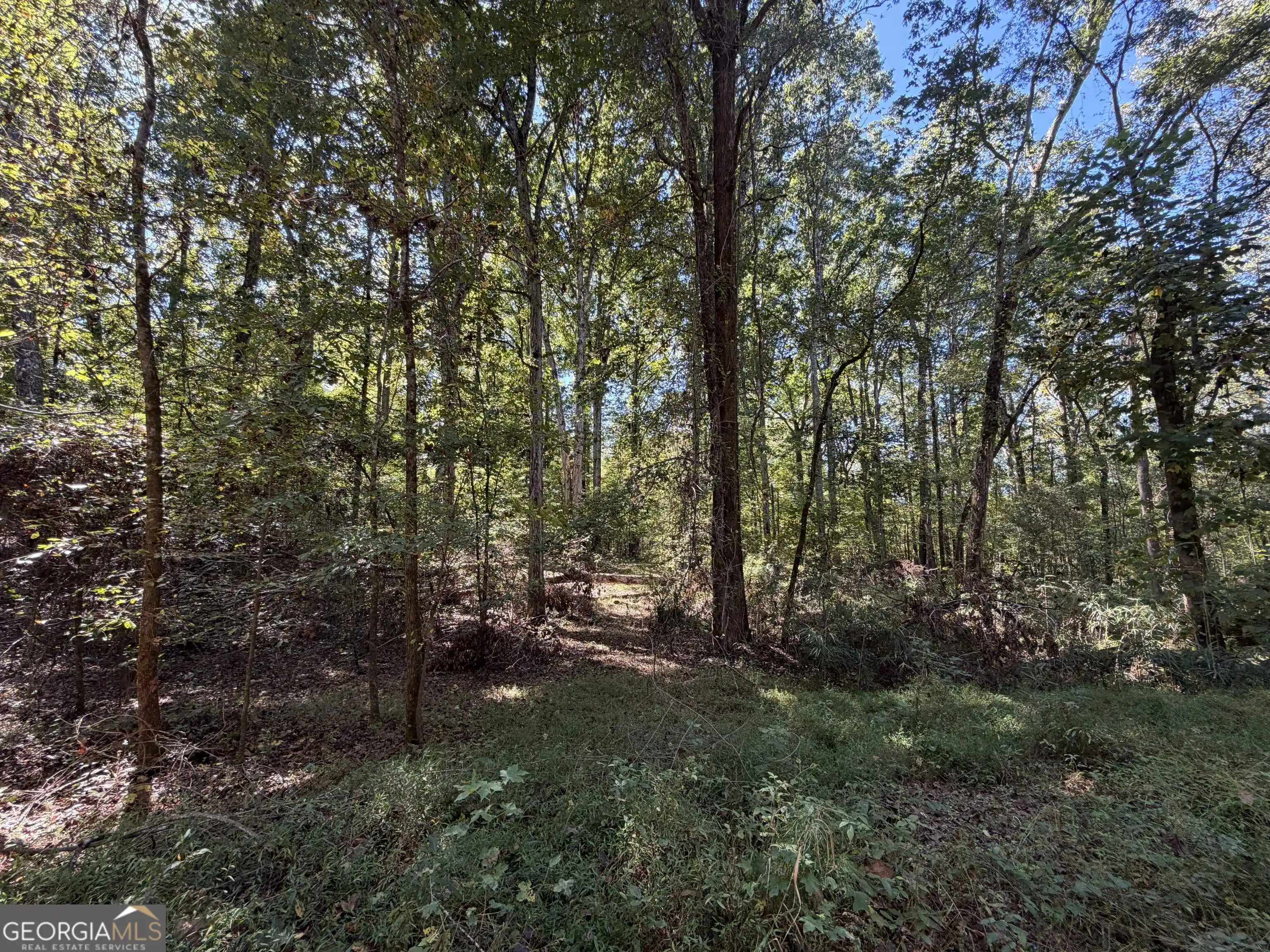 Photo 1 of Land for sale at 0 Gene Smith Rd, Carlton, GA 30627 | MLS# 10882079 | Listing updated on 2026-10-30