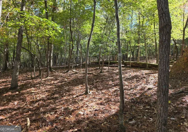 Photo 1 of Land for sale at Lot Zenith Trl #385, Ellijay, GA 30540 | MLS# 10804775 | Listing updated on 2026-07-27