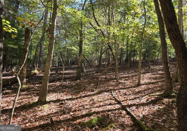 Photo 1 of Land for sale at Lot Zenith Trl #385, Ellijay, GA 30540 | MLS# 10804775 | Listing updated on 2026-07-27