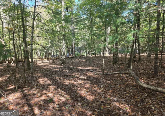 Photo 2 of Land for sale at Lot Zenith Trl #385, Ellijay, GA 30540 | MLS# 10804775 | Listing updated on 2026-07-27