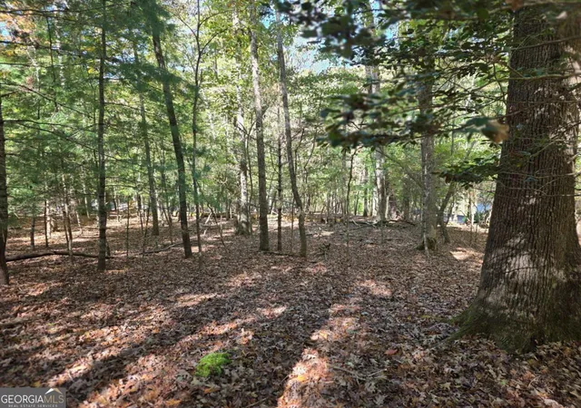 Photo 3 of Land for sale at Lot Zenith Trl #385, Ellijay, GA 30540 | MLS# 10804775 | Listing updated on 2026-07-27