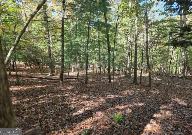 Photo 4 of Land for sale at Lot Zenith Trl #385, Ellijay, GA 30540 | MLS# 10804775 | Listing updated on 2026-07-27
