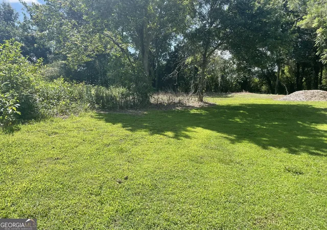 Homes for sale in Carnesville, GA | 16067 Hwy 59, Carnesville, GA 30521 | MLS# 10788690