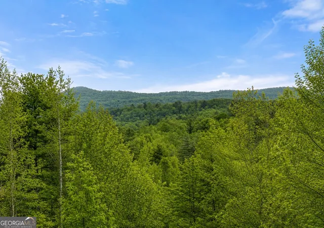 40th image of 437 Spruce Cir, Mineral Bluff, GA 30559 | MLS# 10797280