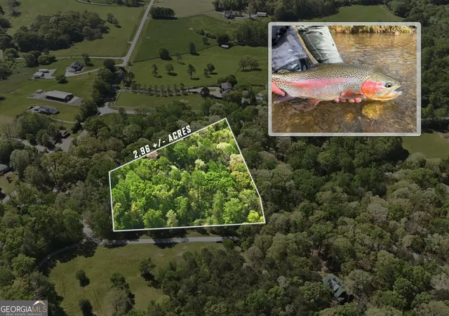 Homes for sale in Clarkesville, GA | Lot 3 Fenwick Wood Rd, Clarkesville, GA 30523 | MLS# 10738010