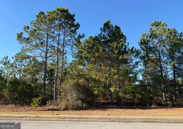 Photo 1 of Land for sale at 0 Weeping Willow Dr, Hinesville, GA 31313 | MLS# 10676056 | Listing updated on 2026-04-04