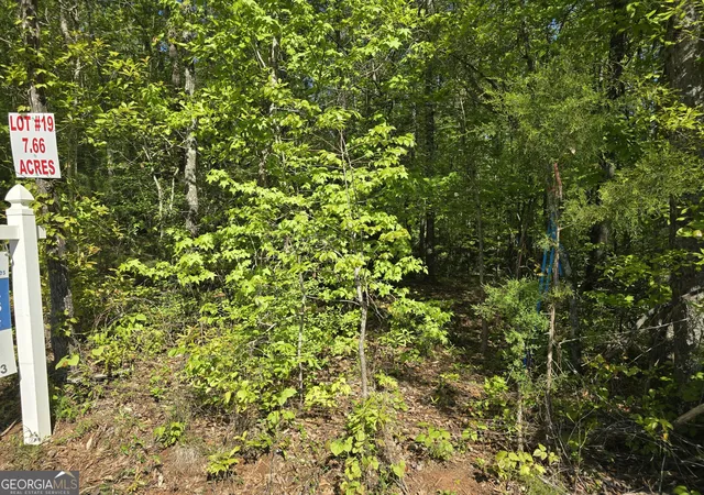 Homes for sale in Thomaston, GA | Lot 19 Smith Rd, Thomaston, GA 30286 | MLS# 10511974