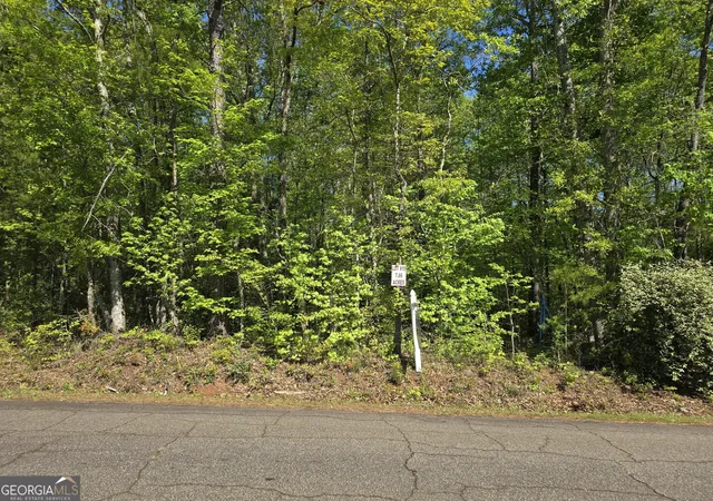 Homes for sale in Thomaston, GA | Lot 19 Smith Rd, Thomaston, GA 30286 | MLS# 10511974