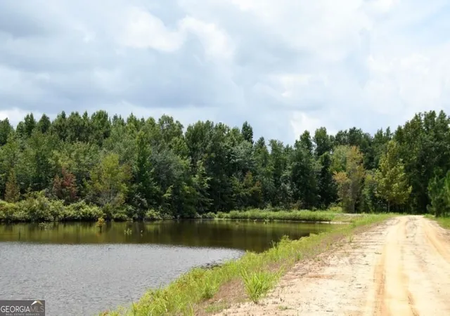 3rd image of 0 Hwy 25 S, Waynesboro, GA 30830 | MLS# 10822769