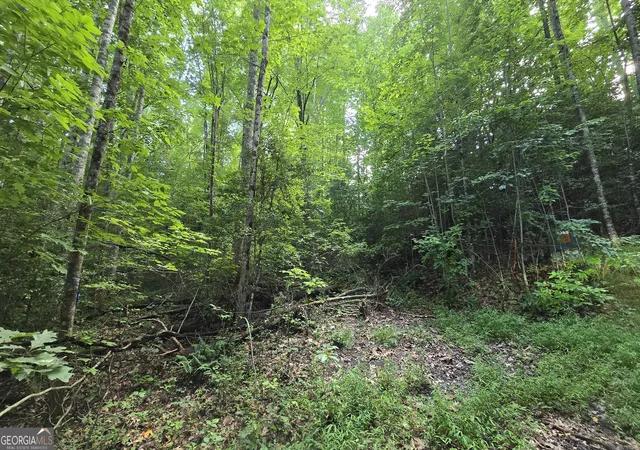 Homes for sale in Hayesville, NC | Lot 14 Kilpatrick Point Terrace, Hayesville, NC 28904 | MLS# 10795713