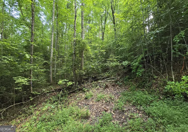 Homes for sale in Hayesville, NC | Lot 14 Kilpatrick Point Terrace, Hayesville, NC 28904 | MLS# 10795713