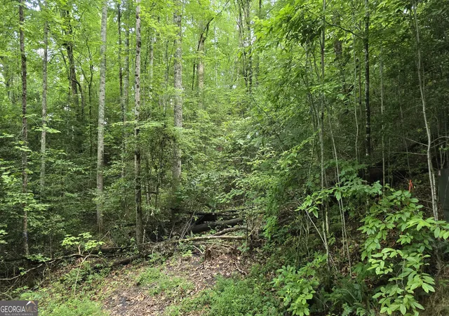 Homes for sale in Hayesville, NC | Lot 14 Kilpatrick Point Terrace, Hayesville, NC 28904 | MLS# 10795713