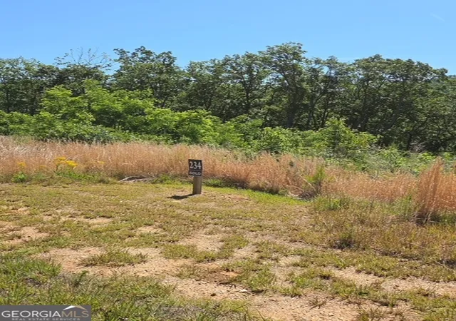 Photo 2 of Land for sale at Lot 234 Highgrove Dr, Talking Rock, GA 30175 | MLS# 10768878 | Listing updated on 2026-06-04