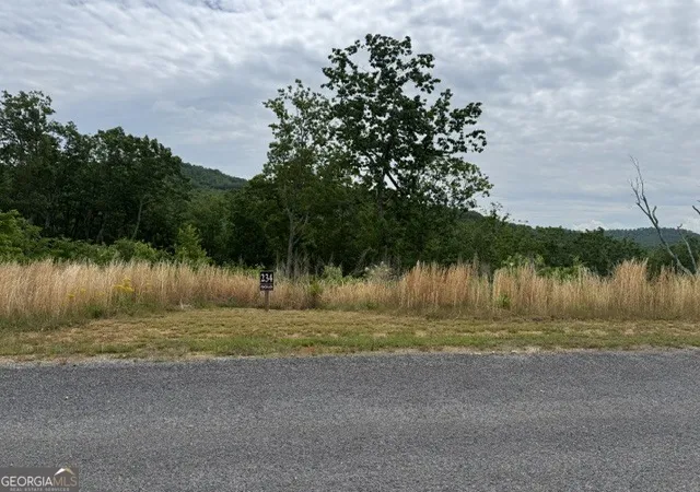 Photo 3 of Land for sale at Lot 234 Highgrove Dr, Talking Rock, GA 30175 | MLS# 10768878 | Listing updated on 2026-06-04