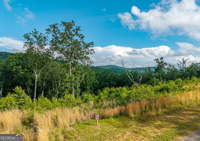 Photo 3 of Land for sale at Lot 234 Highgrove Dr, Talking Rock, GA 30175 | MLS# 10768878 | Listing updated on 2026-06-04